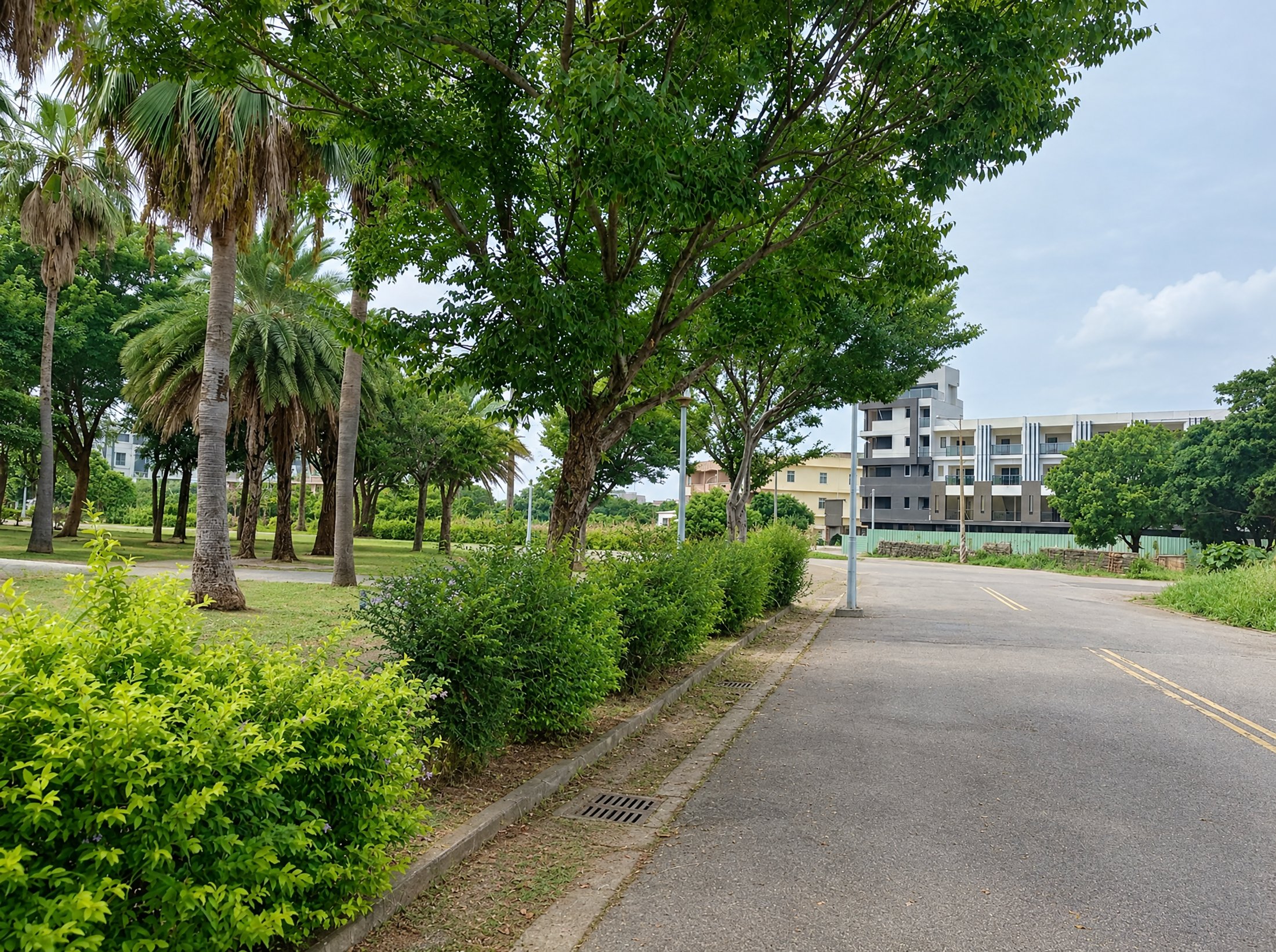 公園步道